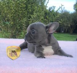 Click sobre la imagen para ampliarla