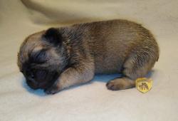 Click sobre la imagen para ampliarla