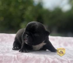 Click sobre la imagen para ampliarla