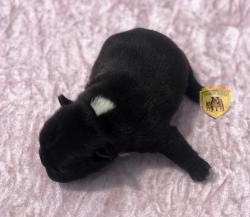 Click sobre la imagen para ampliarla