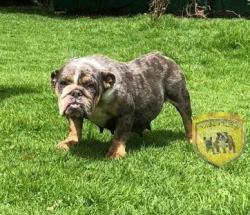 Click sobre la imagen para ampliarla