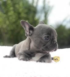 Click sobre la imagen para ampliarla