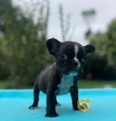 Click sobre la imagen para ampliarla