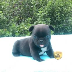 Click sobre la imagen para ampliarla