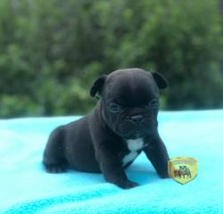 Click sobre la imagen para ampliarla