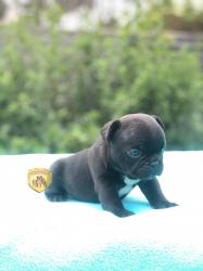 Click sobre la imagen para ampliarla