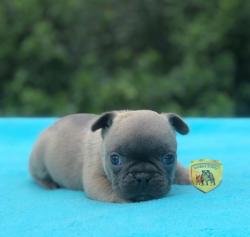 Click sobre la imagen para ampliarla