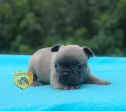 Click sobre la imagen para ampliarla