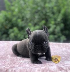 Click sobre la imagen para ampliarla