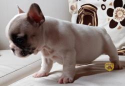 Click sobre la imagen para ampliarla