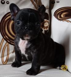 Click sobre la imagen para ampliarla