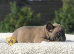 Click sobre la imagen para ampliarla