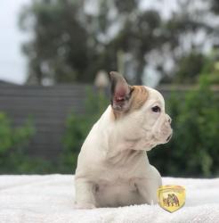 Click sobre la imagen para ampliarla