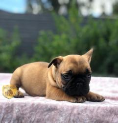 Click sobre la imagen para ampliarla