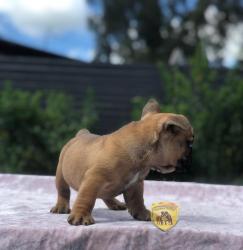 Click sobre la imagen para ampliarla