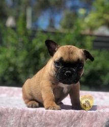 Click sobre la imagen para ampliarla