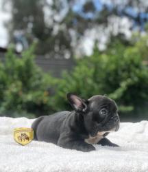 Click sobre la imagen para ampliarla