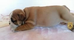 Click sobre la imagen para ampliarla