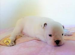 Click sobre la imagen para ampliarla