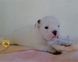 Click sobre la imagen para ampliarla