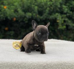 Click sobre la imagen para ampliarla