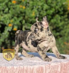 Click sobre la imagen para ampliarla