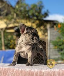 Click sobre la imagen para ampliarla