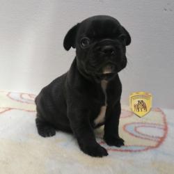 Click sobre la imagen para ampliarla