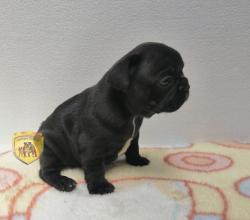 Click sobre la imagen para ampliarla