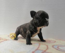 Click sobre la imagen para ampliarla