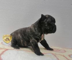 Click sobre la imagen para ampliarla