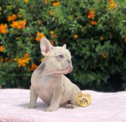 Click sobre la imagen para ampliarla