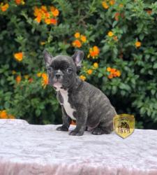 Click sobre la imagen para ampliarla