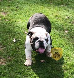 Click sobre la imagen para ampliarla