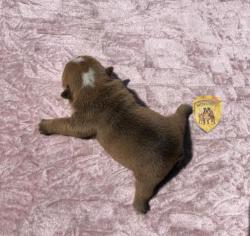 Click sobre la imagen para ampliarla