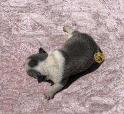 Click sobre la imagen para ampliarla