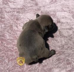 Click sobre la imagen para ampliarla