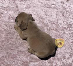 Click sobre la imagen para ampliarla