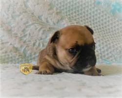 Click sobre la imagen para ampliarla