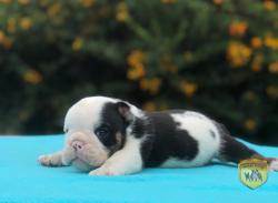 Click sobre la imagen para ampliarla