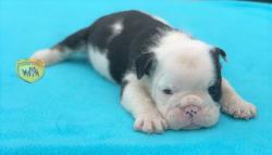 Click sobre la imagen para ampliarla