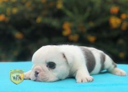 Click sobre la imagen para ampliarla