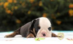 Click sobre la imagen para ampliarla