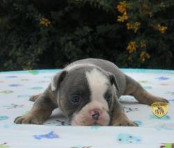 Click sobre la imagen para ampliarla