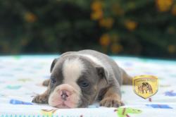 Click sobre la imagen para ampliarla