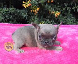 Click sobre la imagen para ampliarla