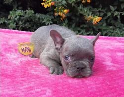 Click sobre la imagen para ampliarla