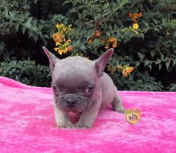 Click sobre la imagen para ampliarla