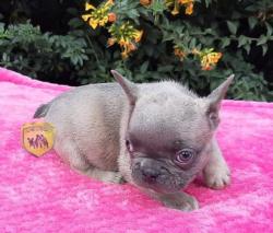 Click sobre la imagen para ampliarla