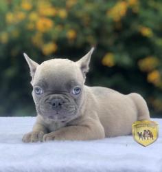 Click sobre la imagen para ampliarla